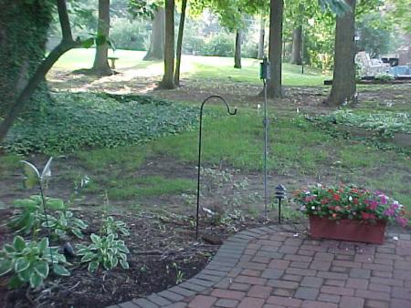 Backyard Before Dry Creek Bed Installed